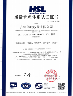 ISO9001质量体系管理认证证书