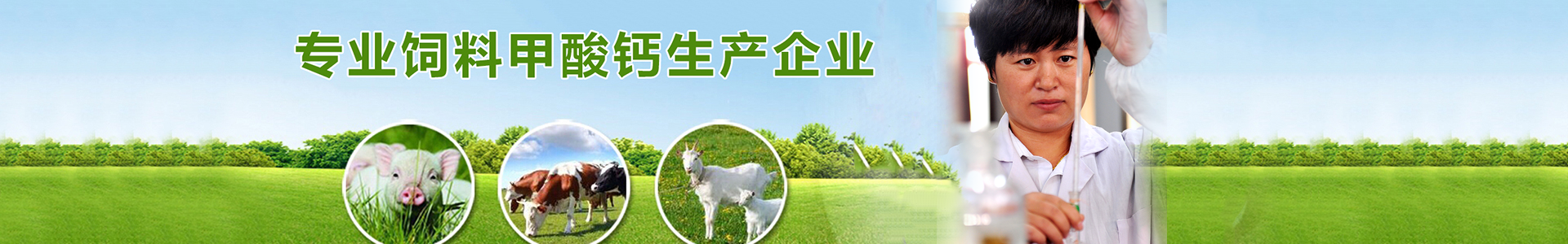 甲酸钙