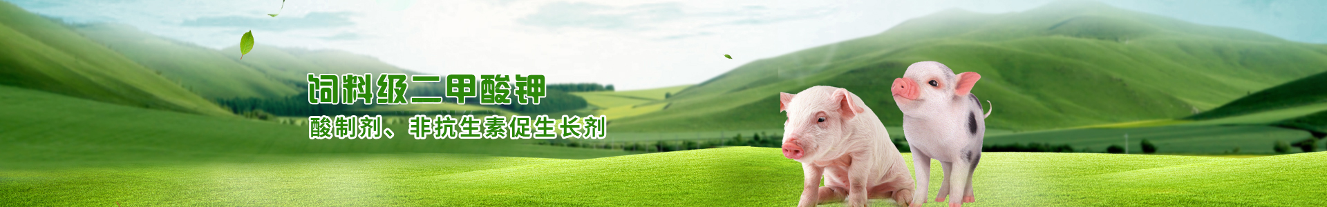 二甲酸钾