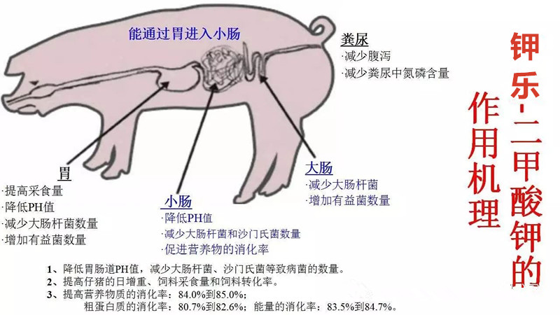 二甲酸钾替代抗生素的作用机理