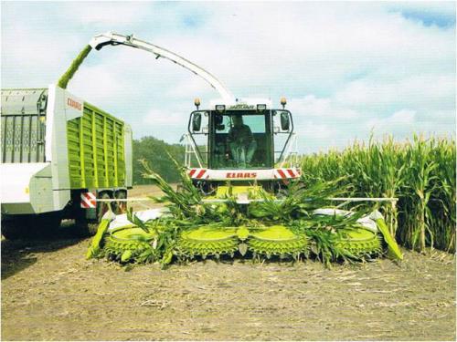 青贮防霉剂双乙酸钠 青贮防霉剂双乙酸钠