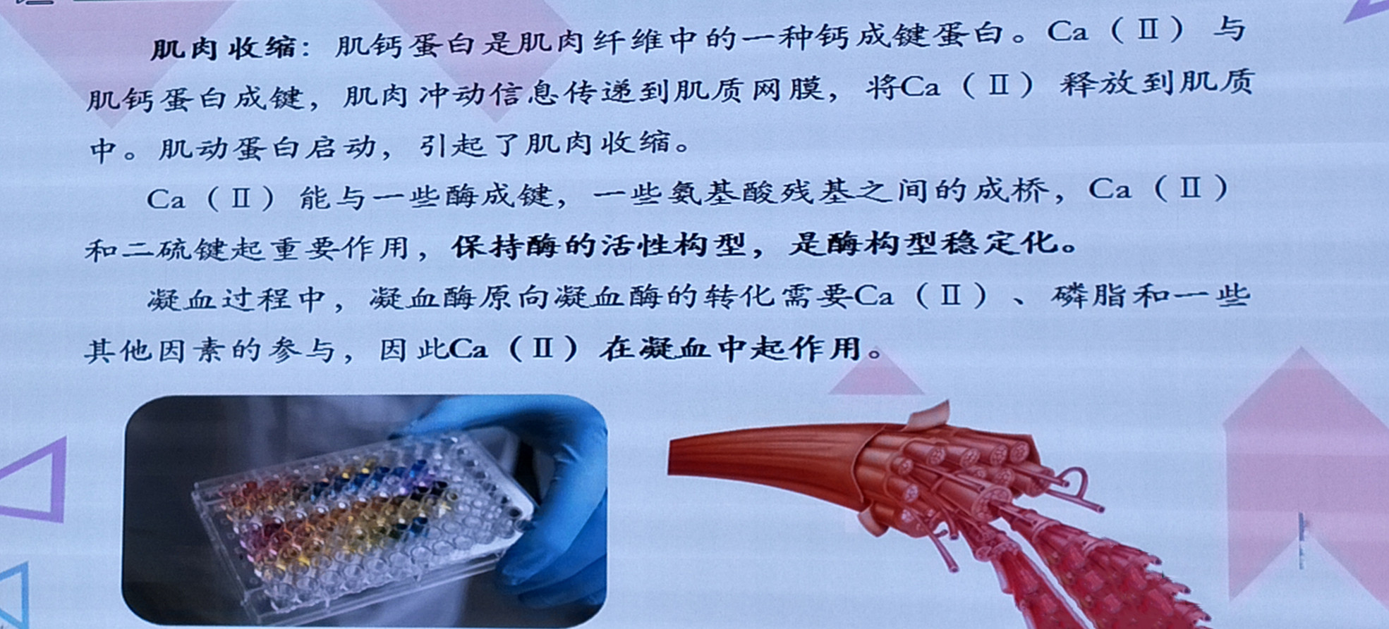 微信图片_20190712090954.jpg