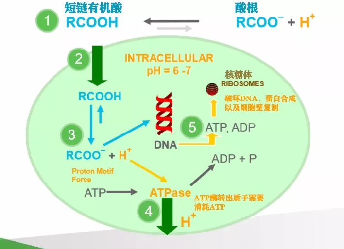 微信图片_20190724101121.png