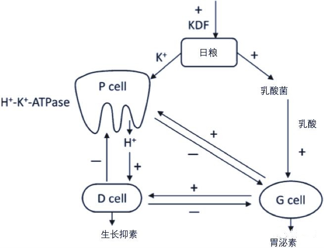 微信图片_20190905103053.jpg