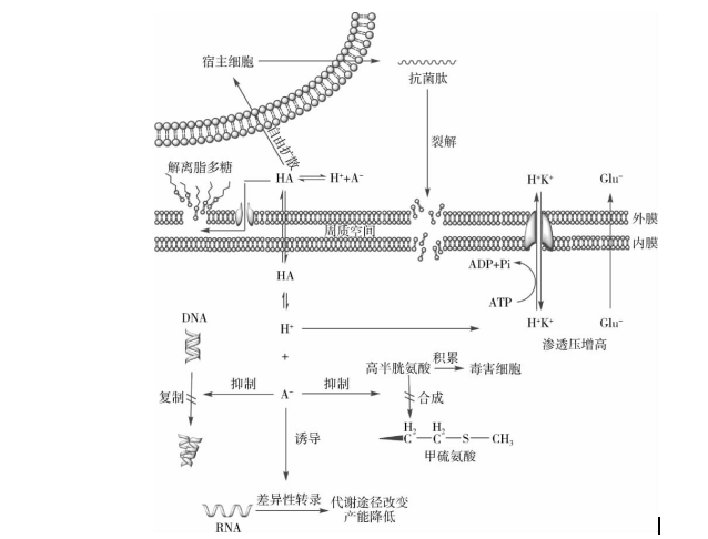 微信图片_20200317093523.png