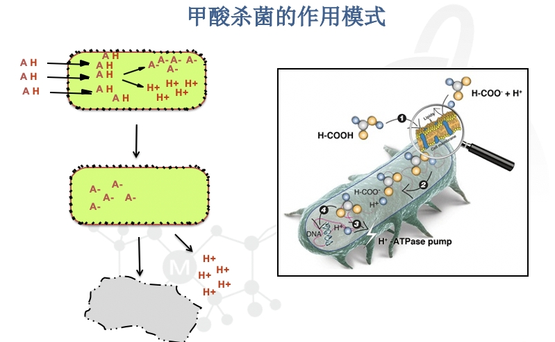 微信图片_20200608093722.png