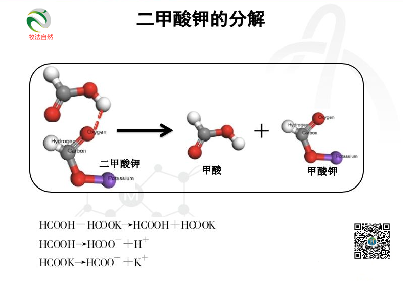 微信图片_20200624081542.png