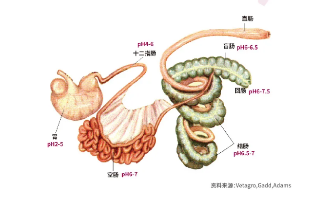 微信图片_20200513094812.png