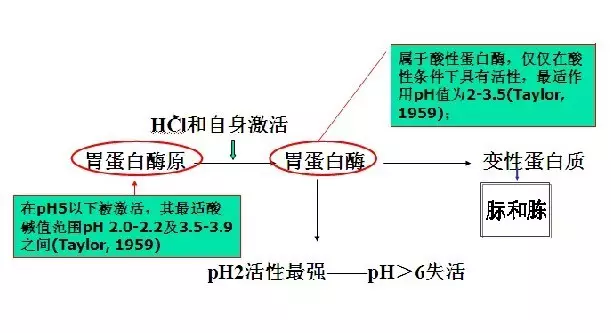 微信图片_20200928101551.png