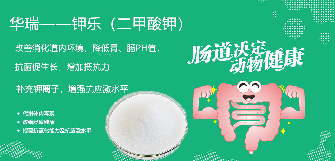 1609122701409421.jpg 微信图片_20190719141405.jpg