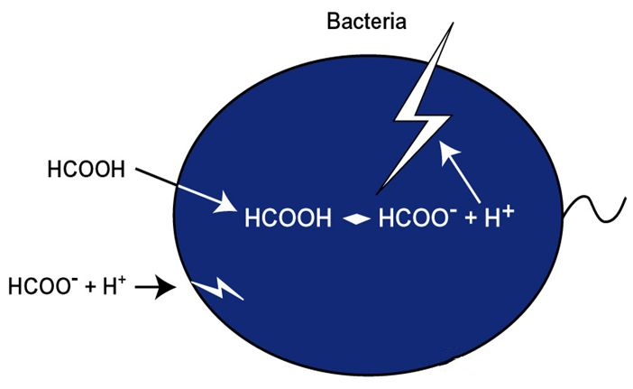 1710902573630333.png 微信图片_20240320095644.png